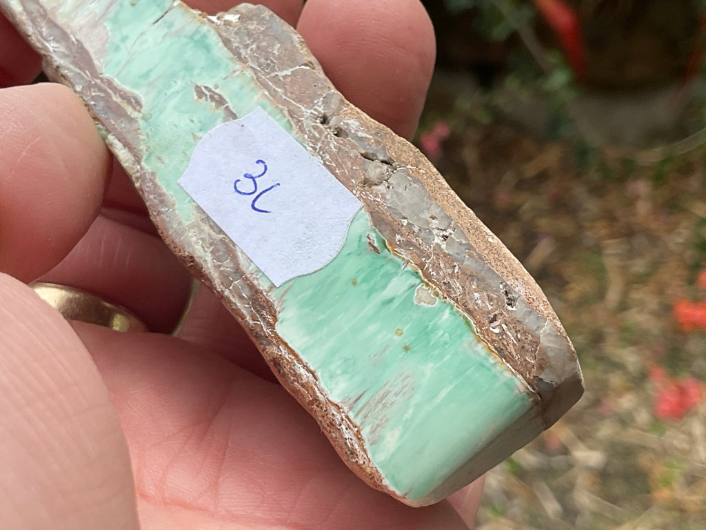 60g Western Australian Variscite Polished Piece 3C