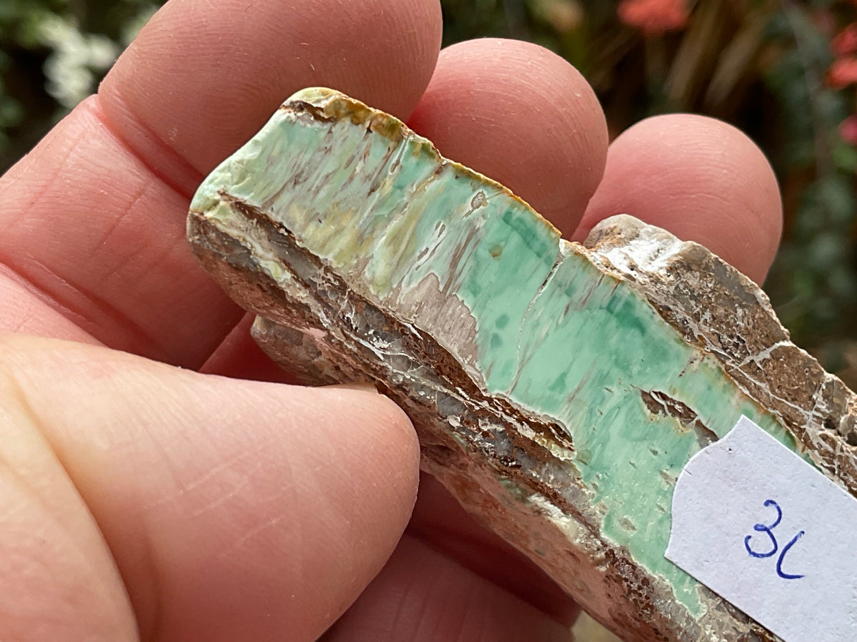 60g Western Australian Variscite Polished Piece 3C