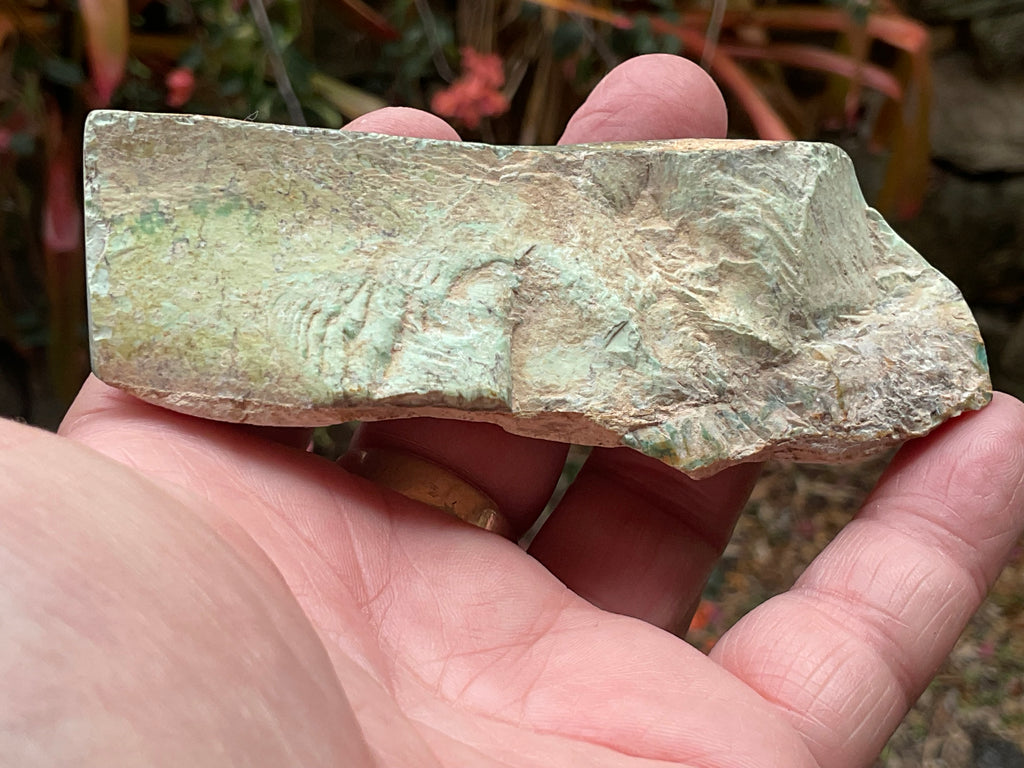 104g Western Australian Variscite Polished Piece 6A