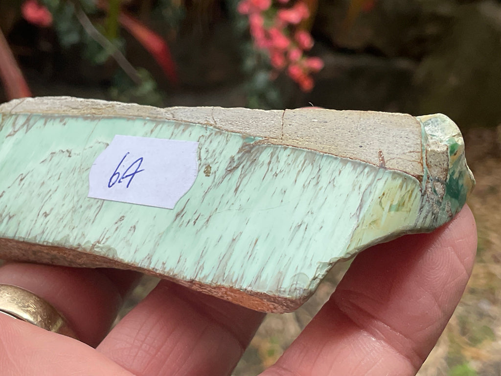 104g Western Australian Variscite Polished Piece 6A