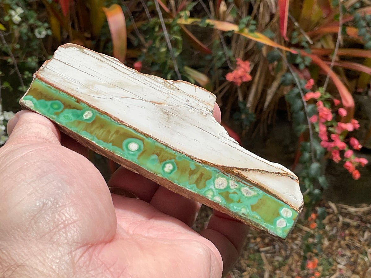 158g Western Australian Variscite Polished Piece 15B