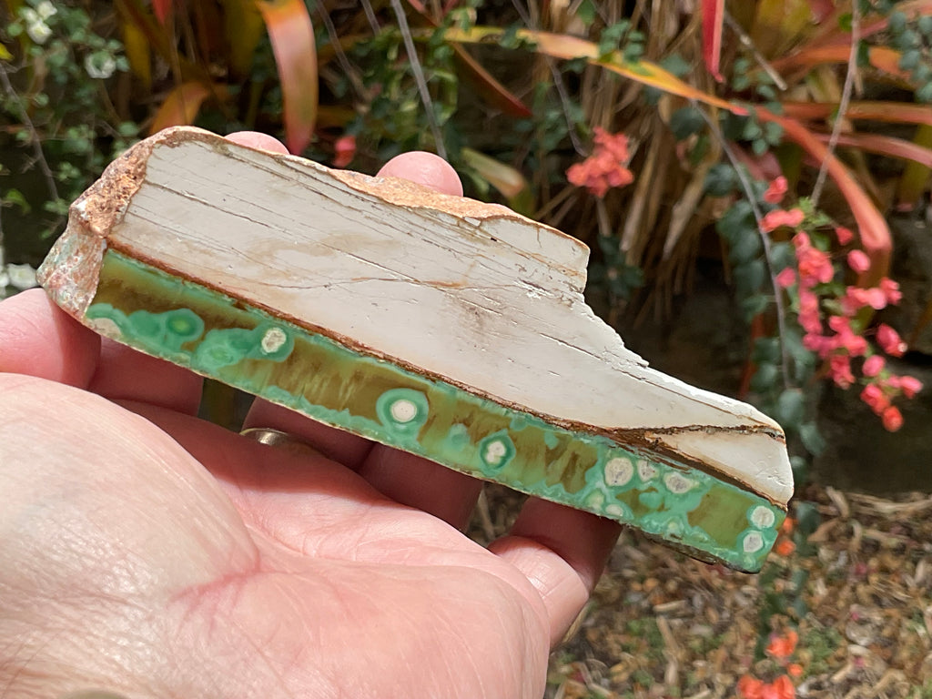 158g Western Australian Variscite Polished Piece 15B