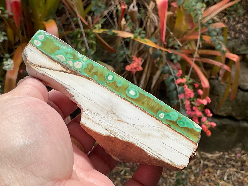 158g Western Australian Variscite Polished Piece 15B