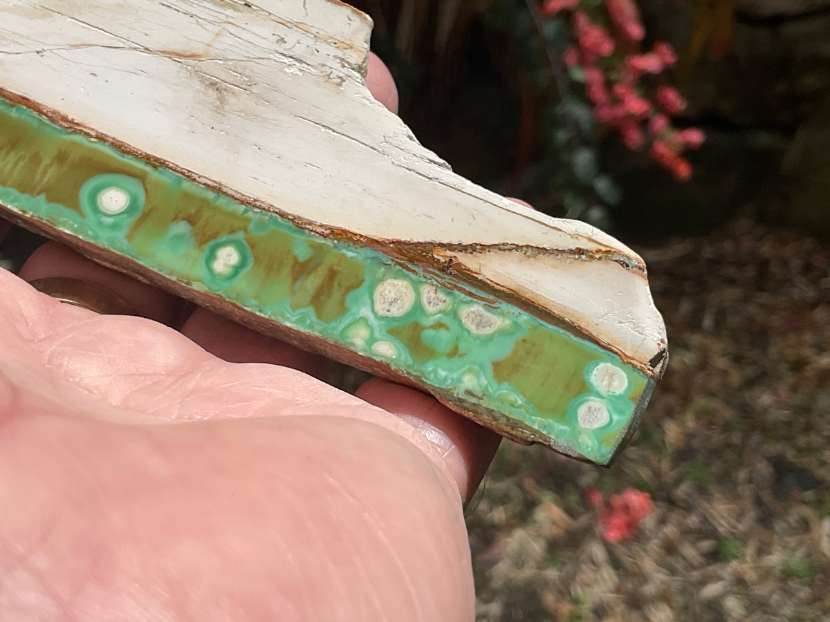 158g Western Australian Variscite Polished Piece 15B