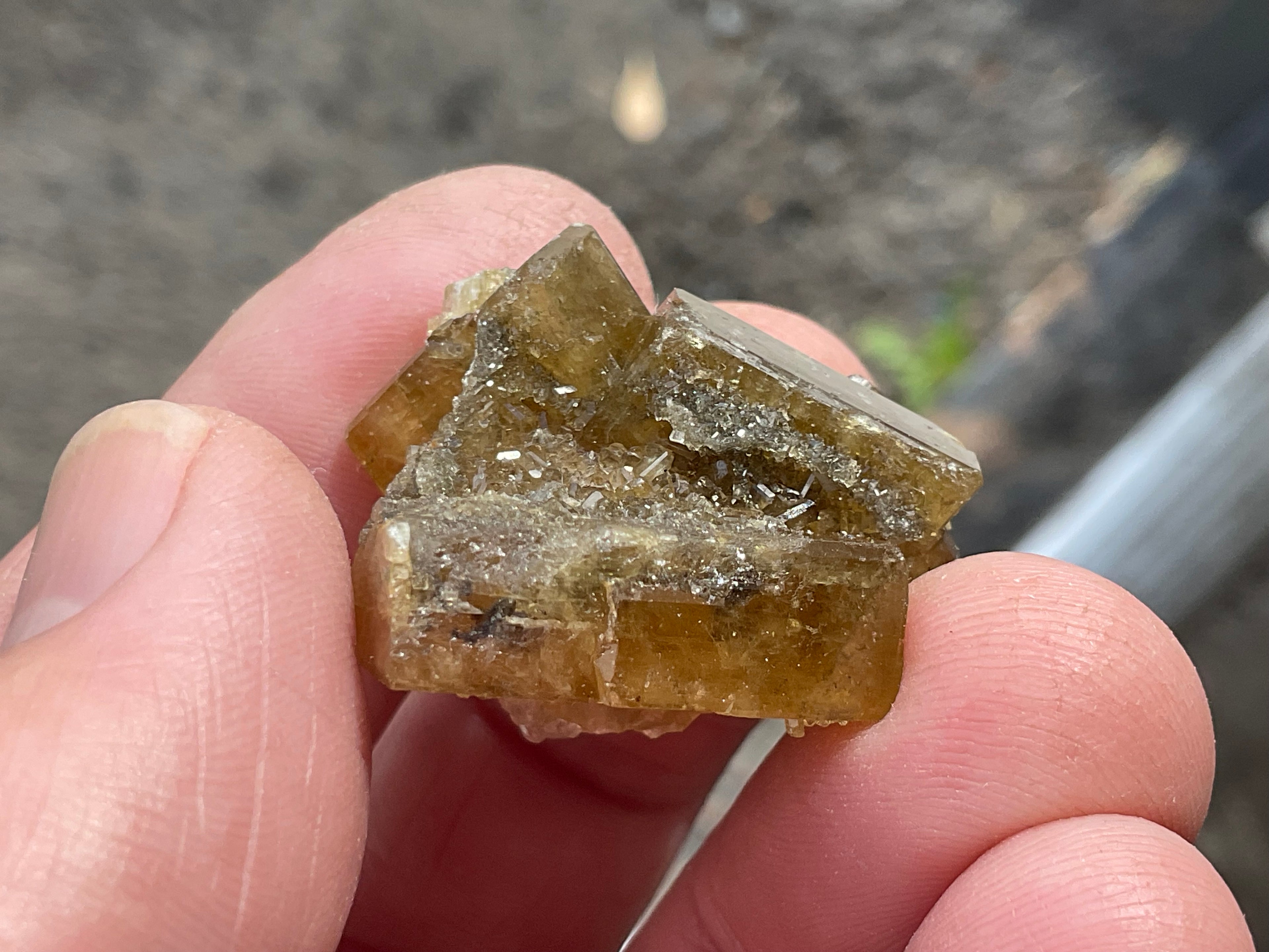 24g Tabular Golden Baryte on Botryoidal Fluorite Specimen 4B from Jiangxi