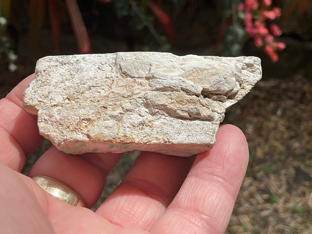 88g Western Australian Variscite Polished Piece 10A