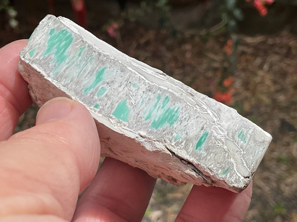 88g Western Australian Variscite Polished Piece 10A