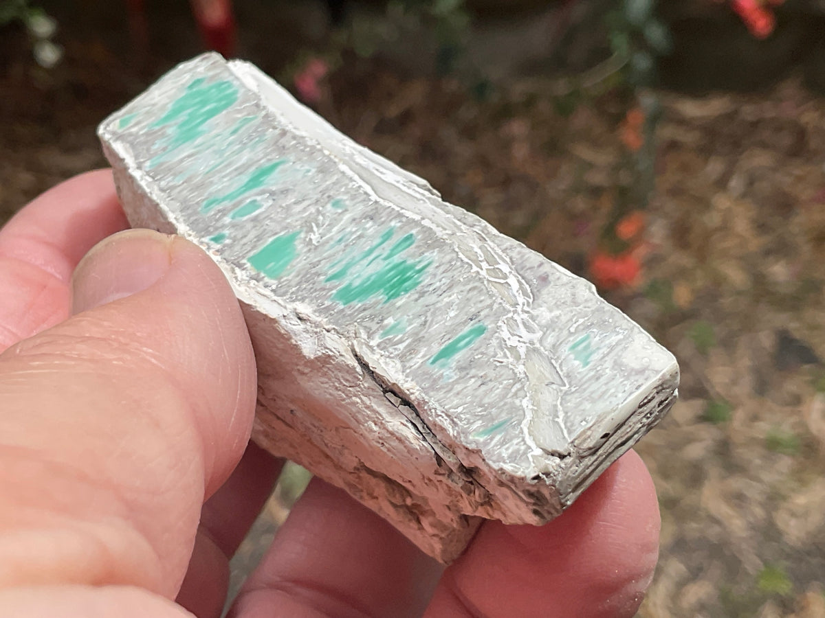 88g Western Australian Variscite Polished Piece 10A
