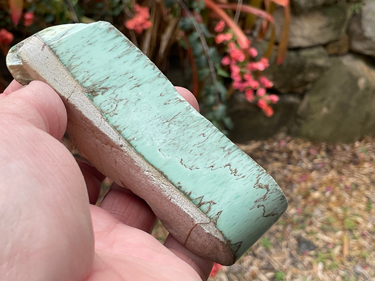 104g Western Australian Variscite Polished Piece 6A