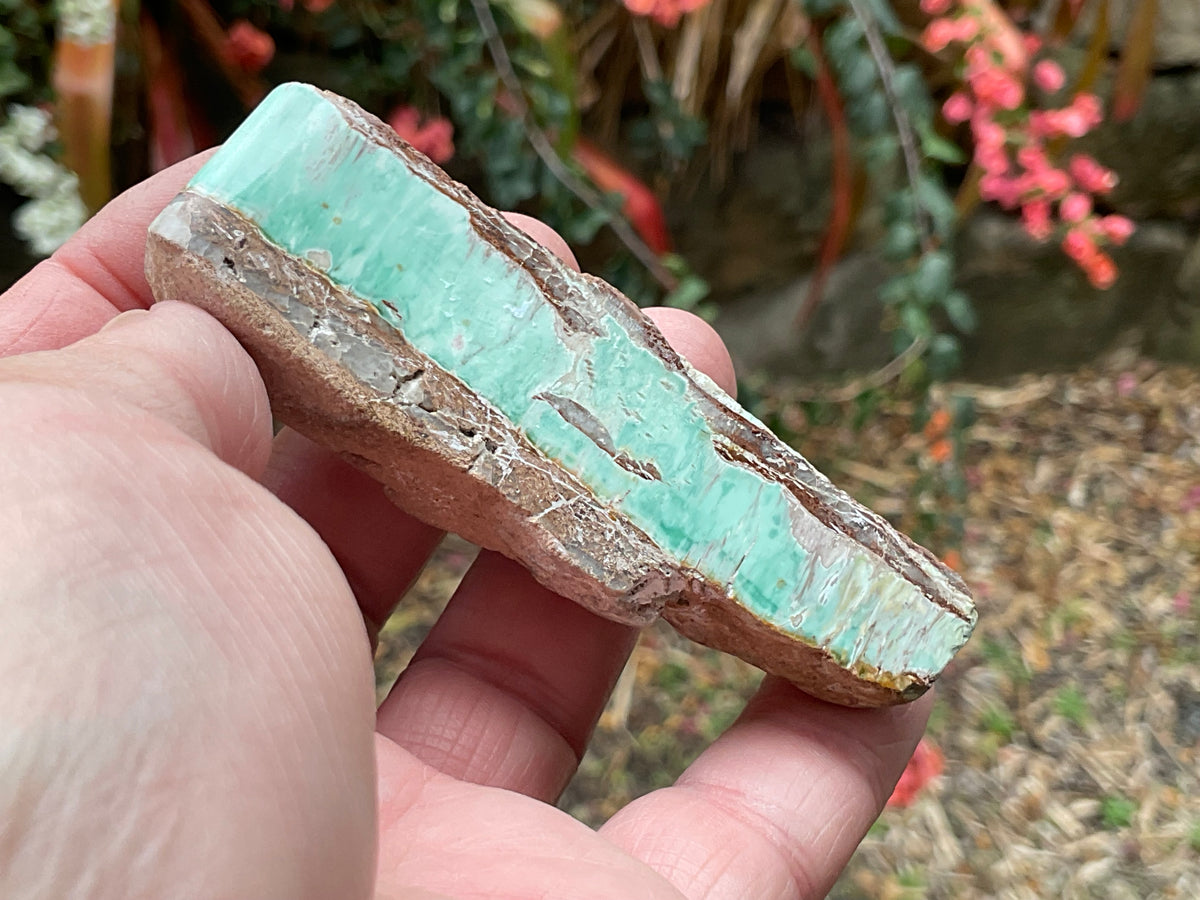 60g Western Australian Variscite Polished Piece 3C