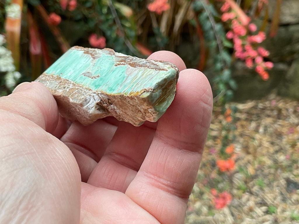60g Western Australian Variscite Polished Piece 3C