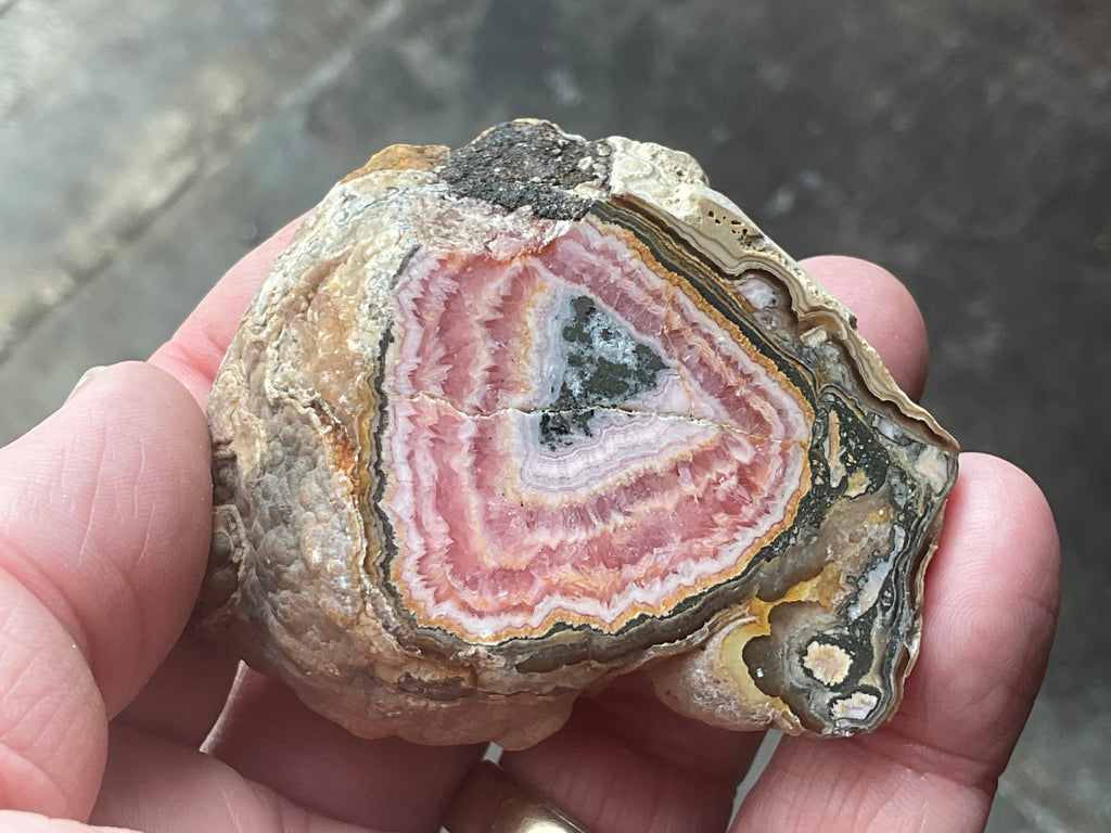 176g Rhodochrosite Stalactite Polished Specimen B