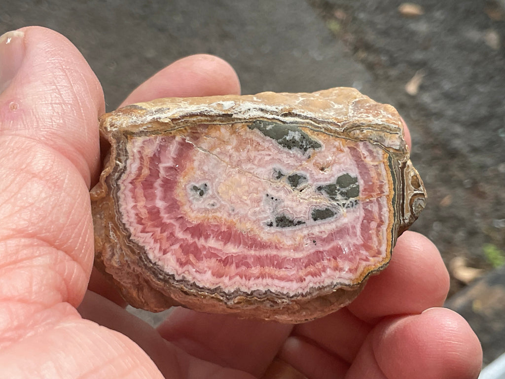 176g Rhodochrosite Stalactite Polished Specimen B