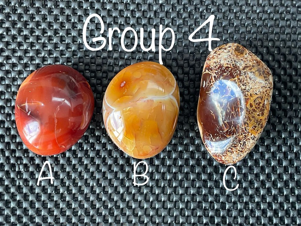 132g Carnelian Orca Agate Palmstone 4C