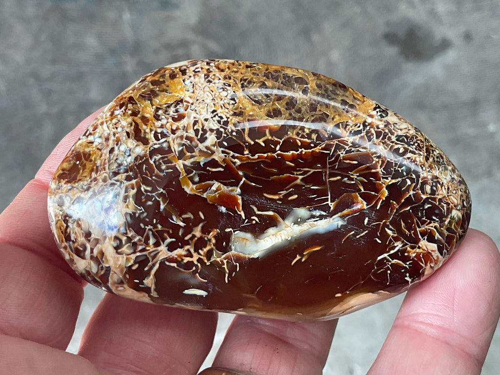 132g Carnelian Orca Agate Palmstone 4C