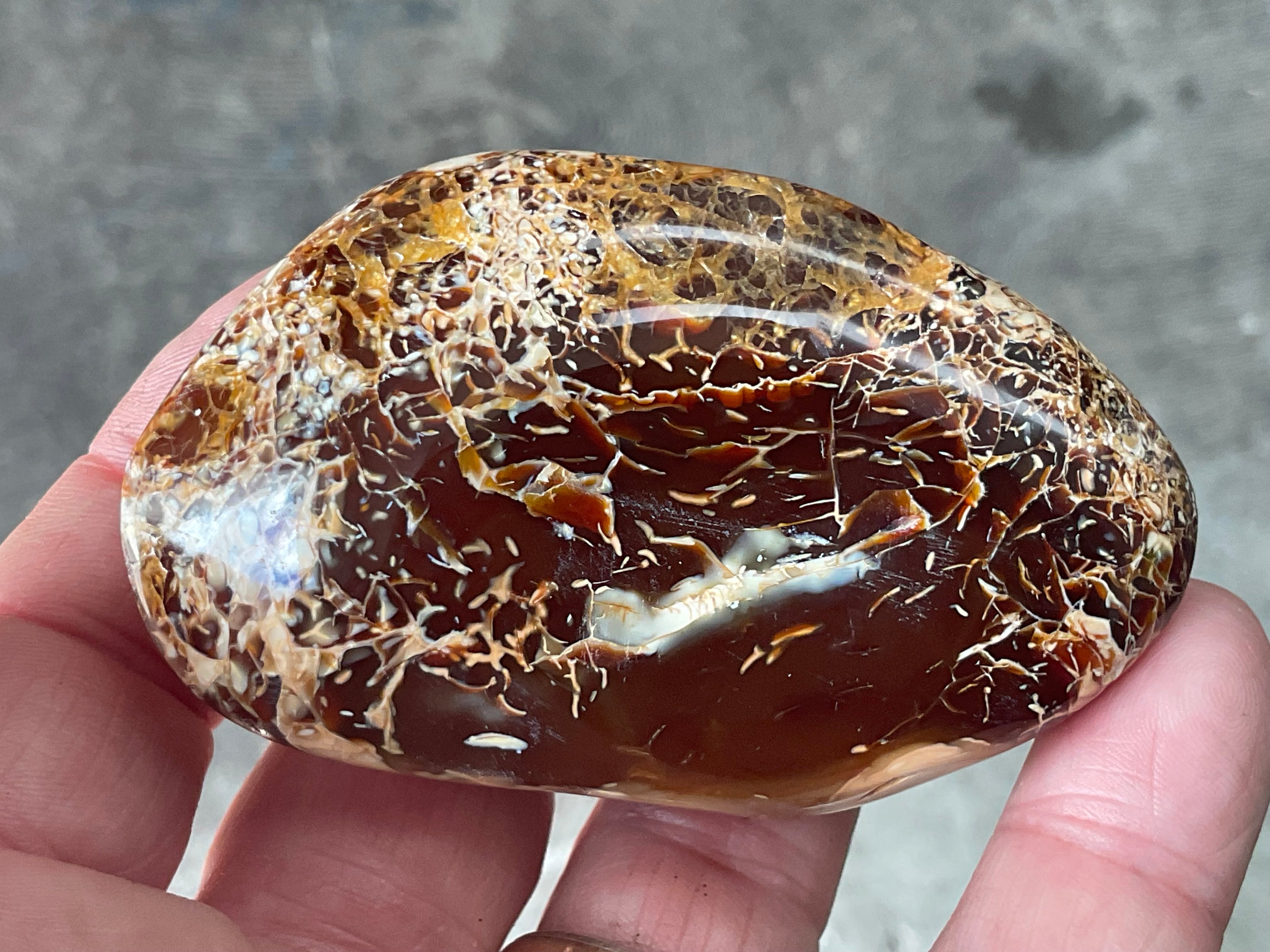 132g Carnelian Orca Agate Palmstone 4C