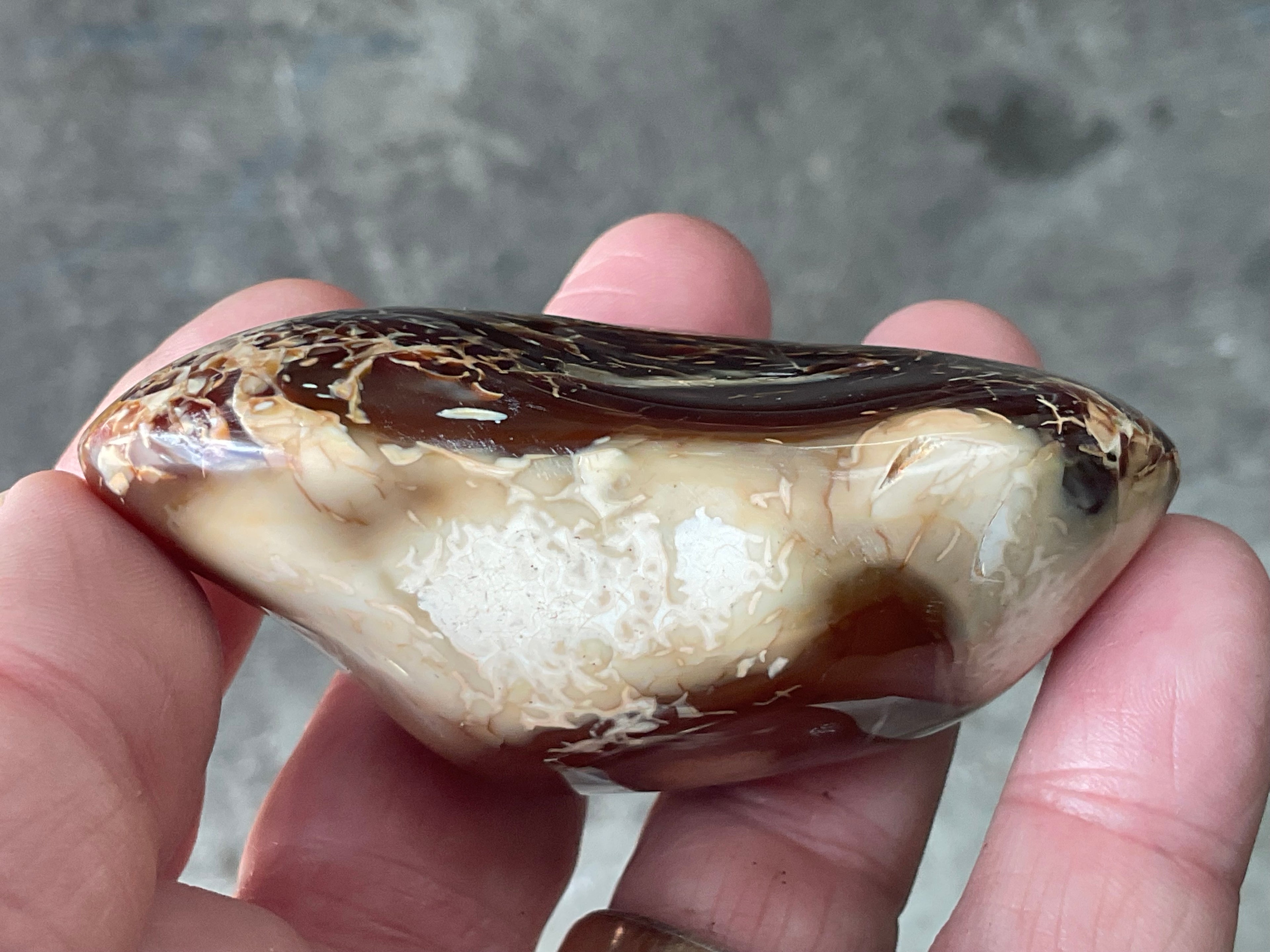 132g Carnelian Orca Agate Palmstone 4C