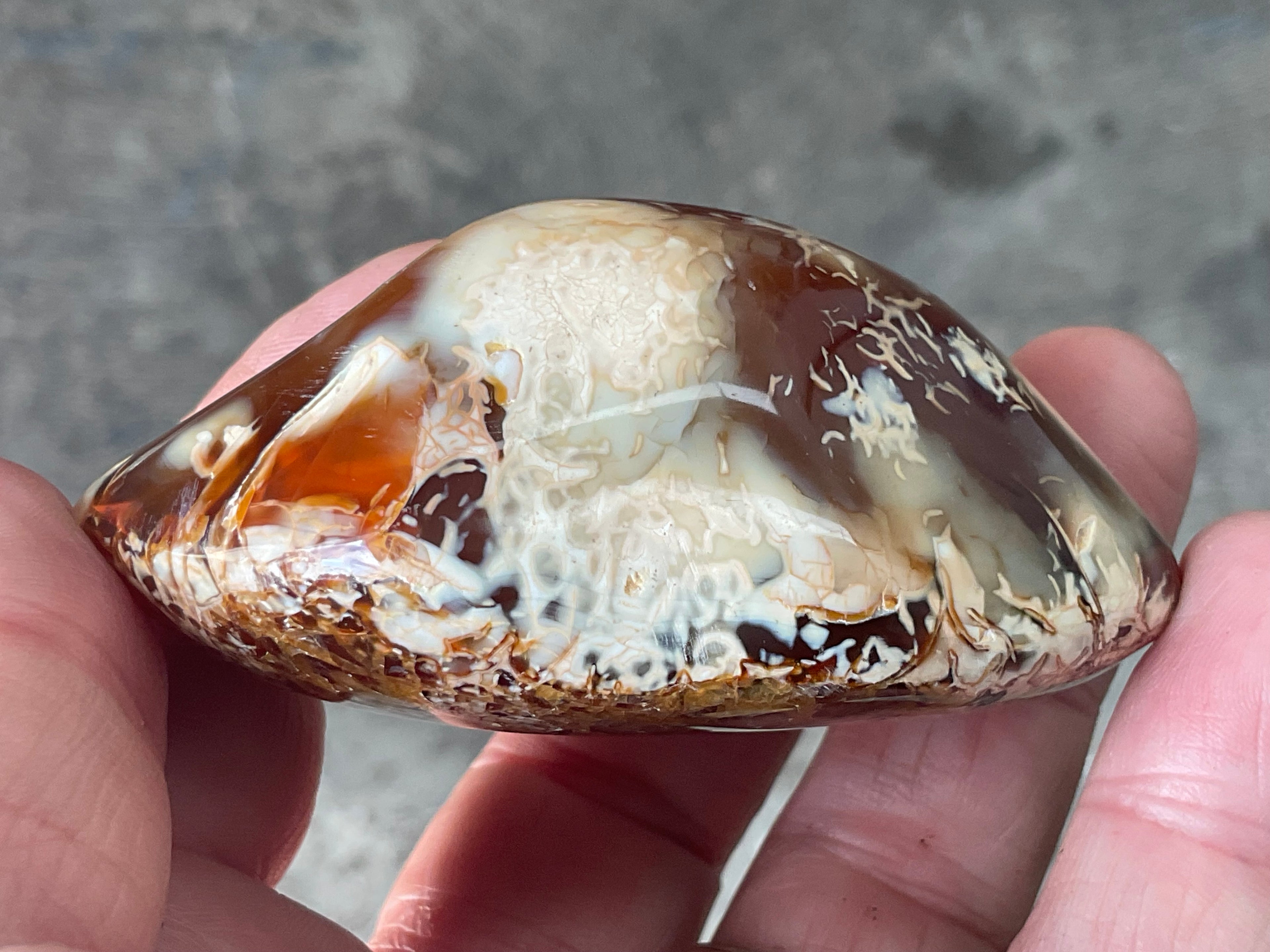132g Carnelian Orca Agate Palmstone 4C