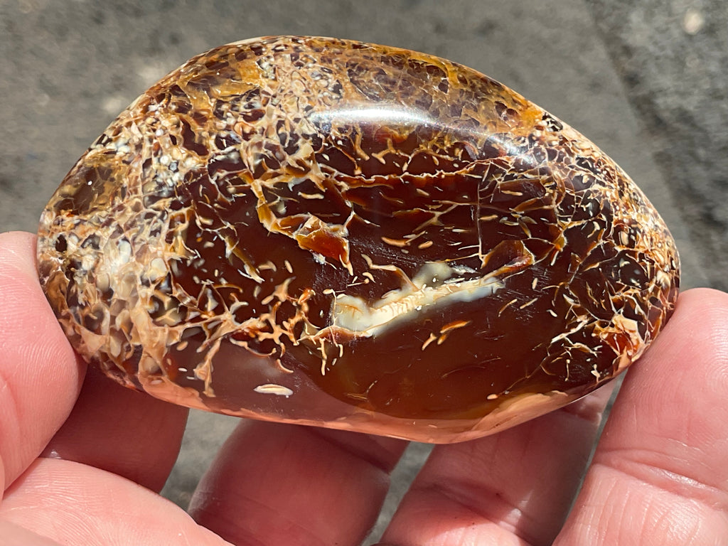 132g Carnelian Orca Agate Palmstone 4C