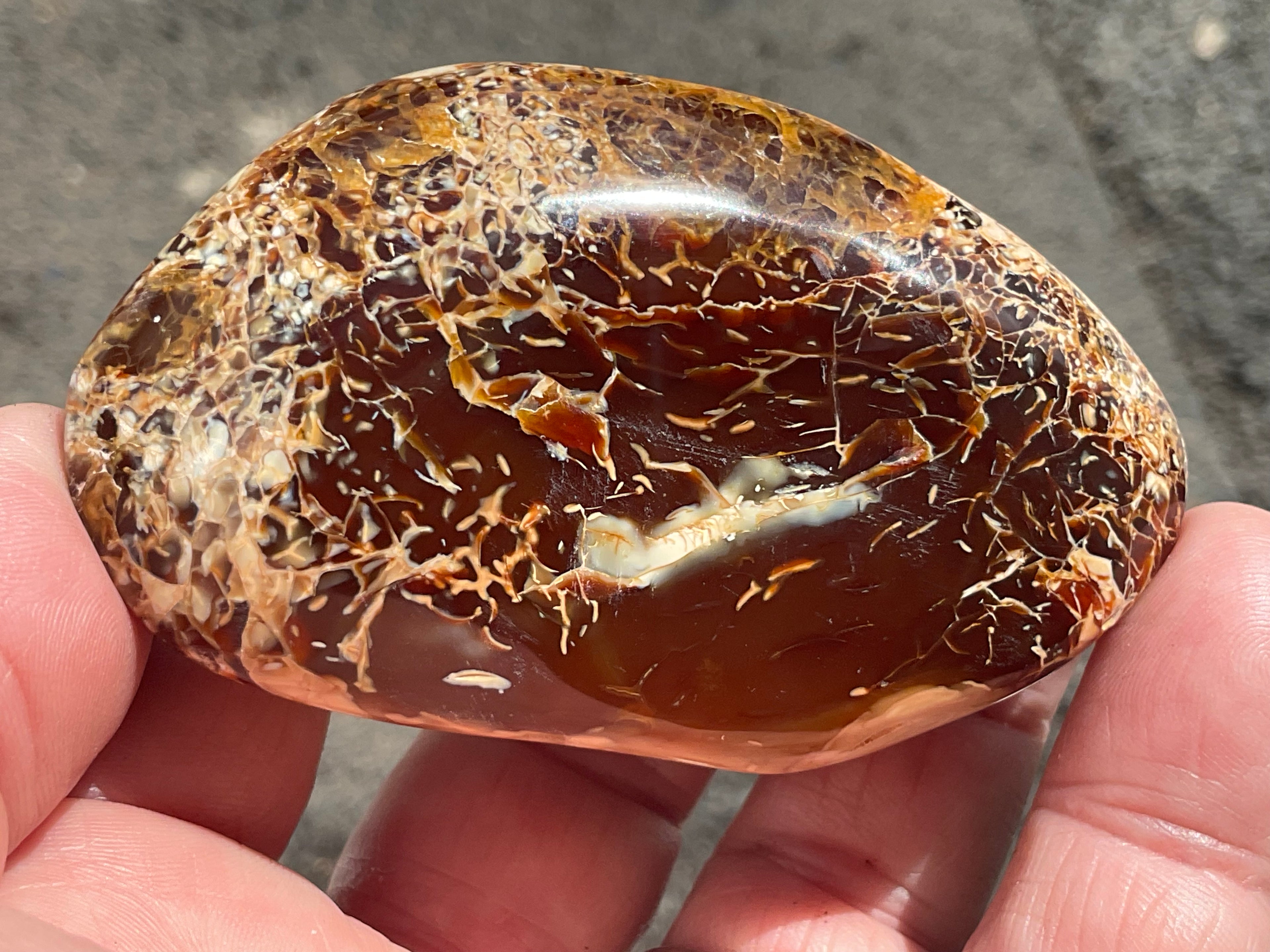 132g Carnelian Orca Agate Palmstone 4C