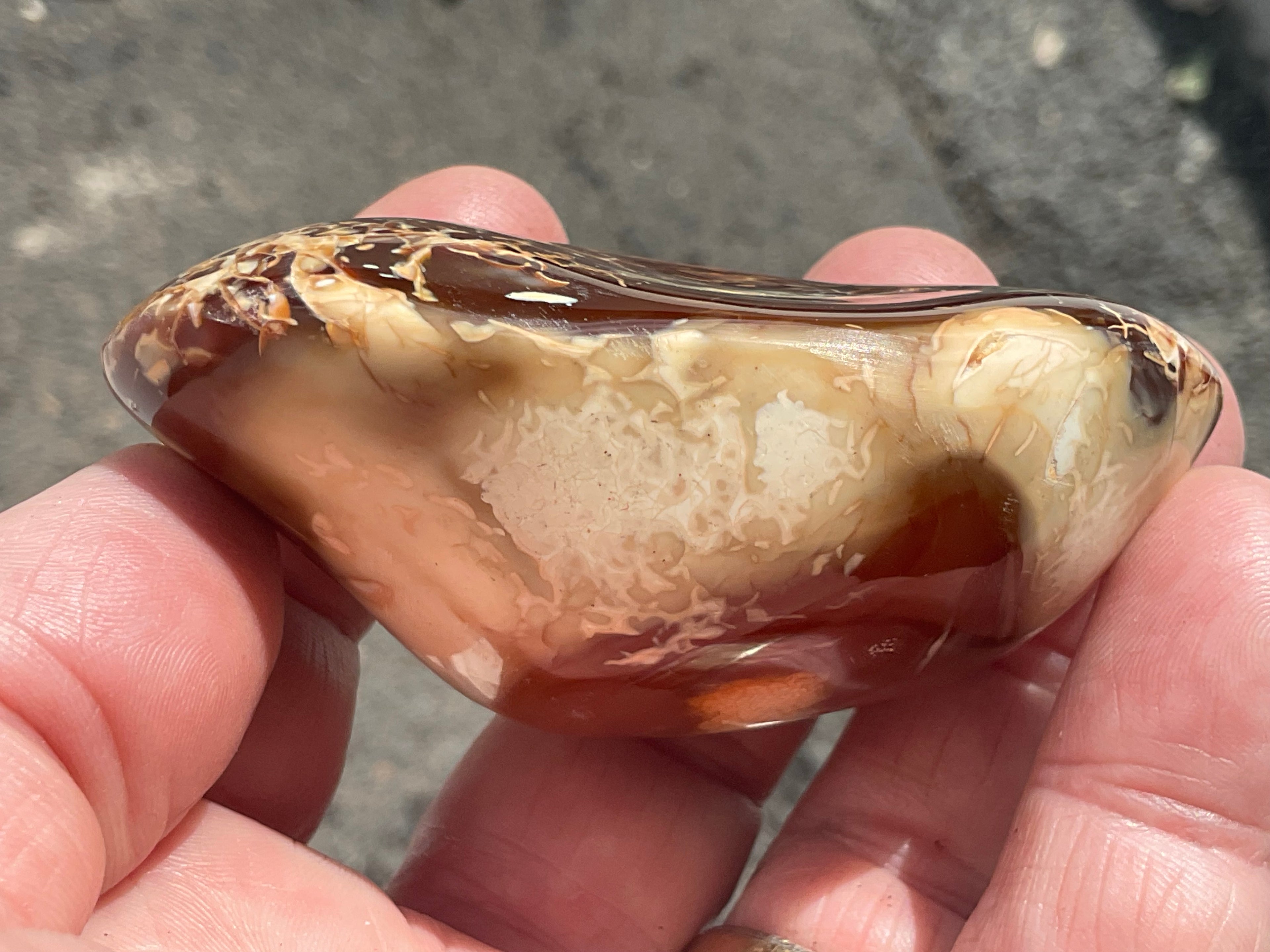 132g Carnelian Orca Agate Palmstone 4C