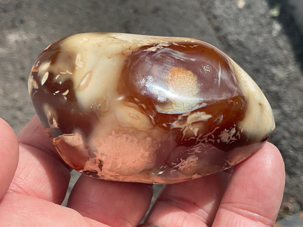 132g Carnelian Orca Agate Palmstone 4C