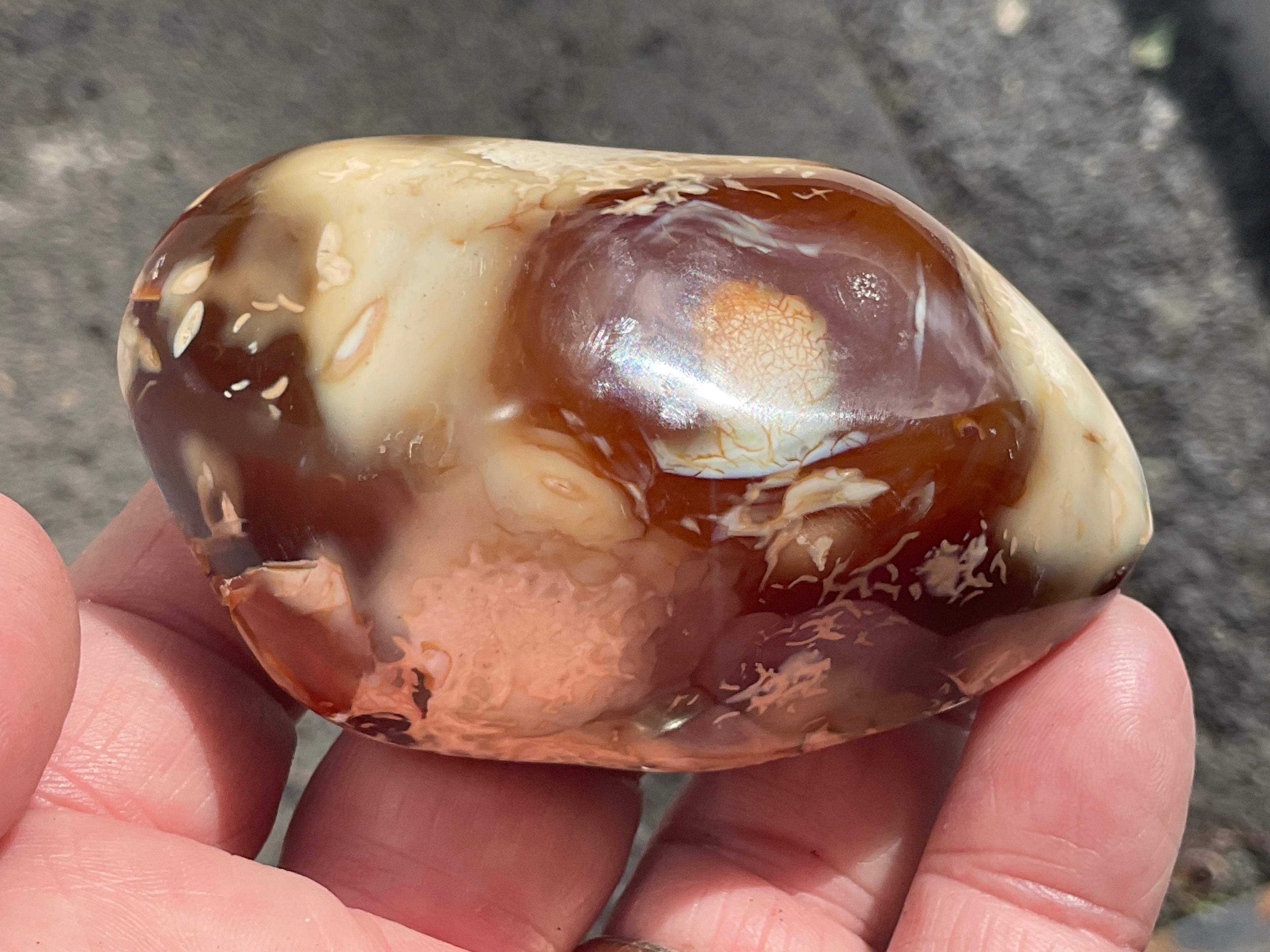 132g Carnelian Orca Agate Palmstone 4C