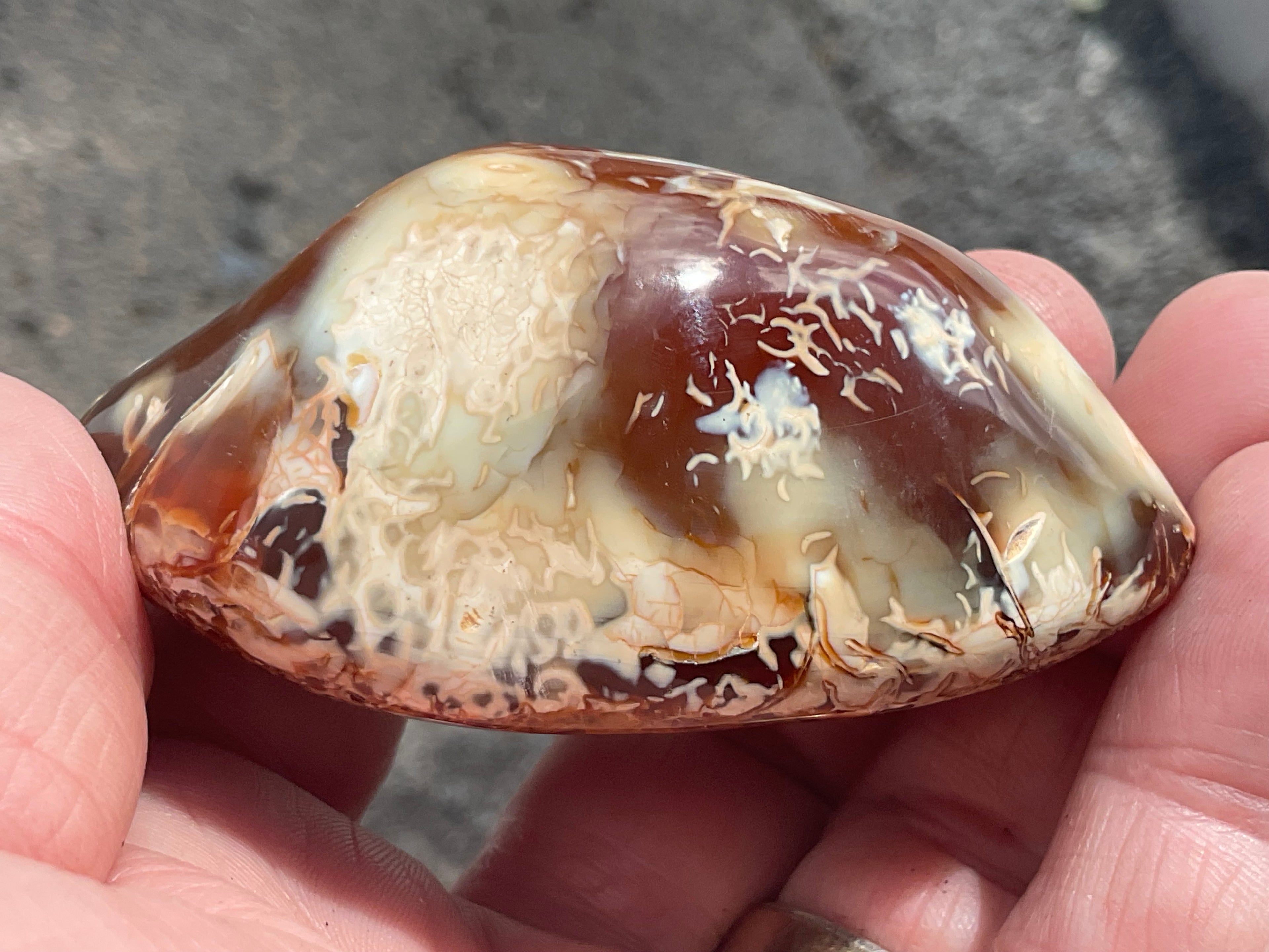 132g Carnelian Orca Agate Palmstone 4C