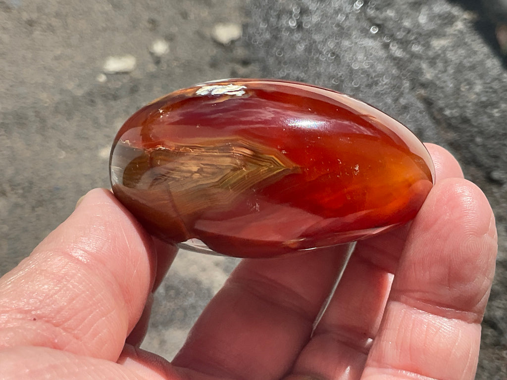142g Carnelian Orca Agate Palmstone 5B