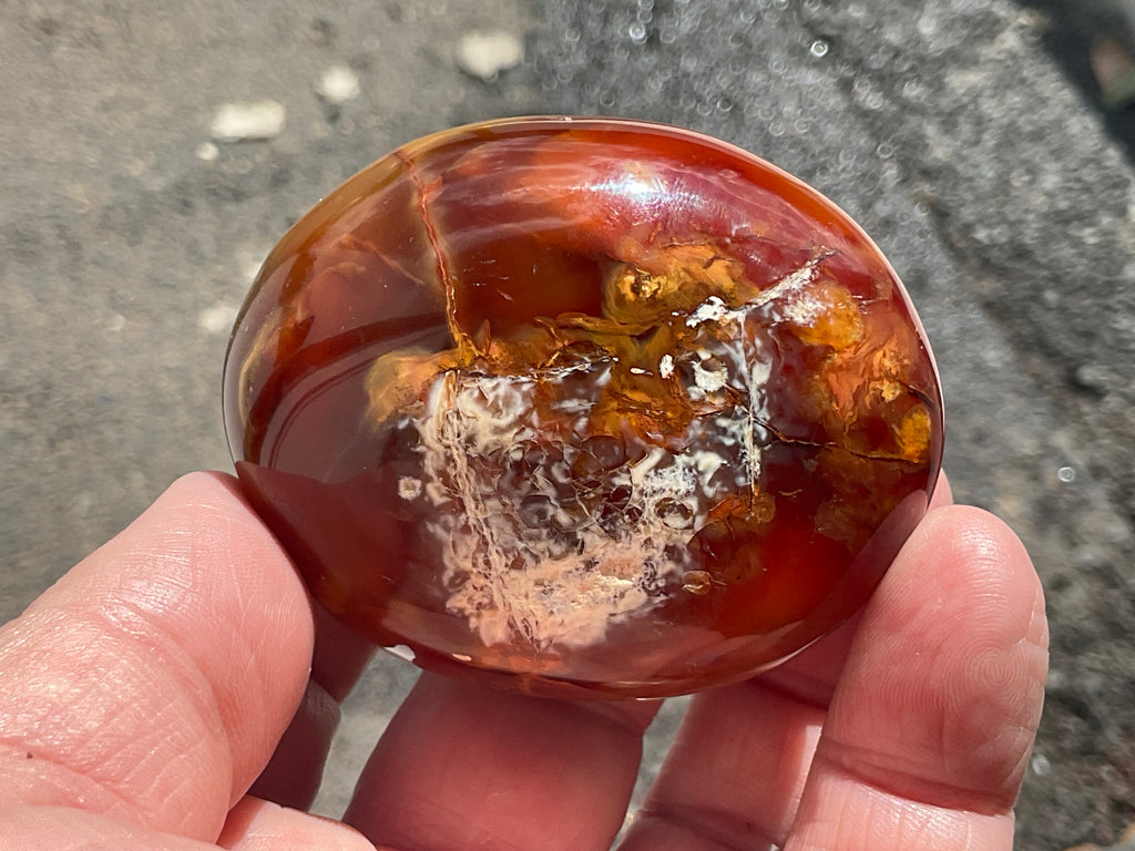 142g Carnelian Orca Agate Palmstone 5B