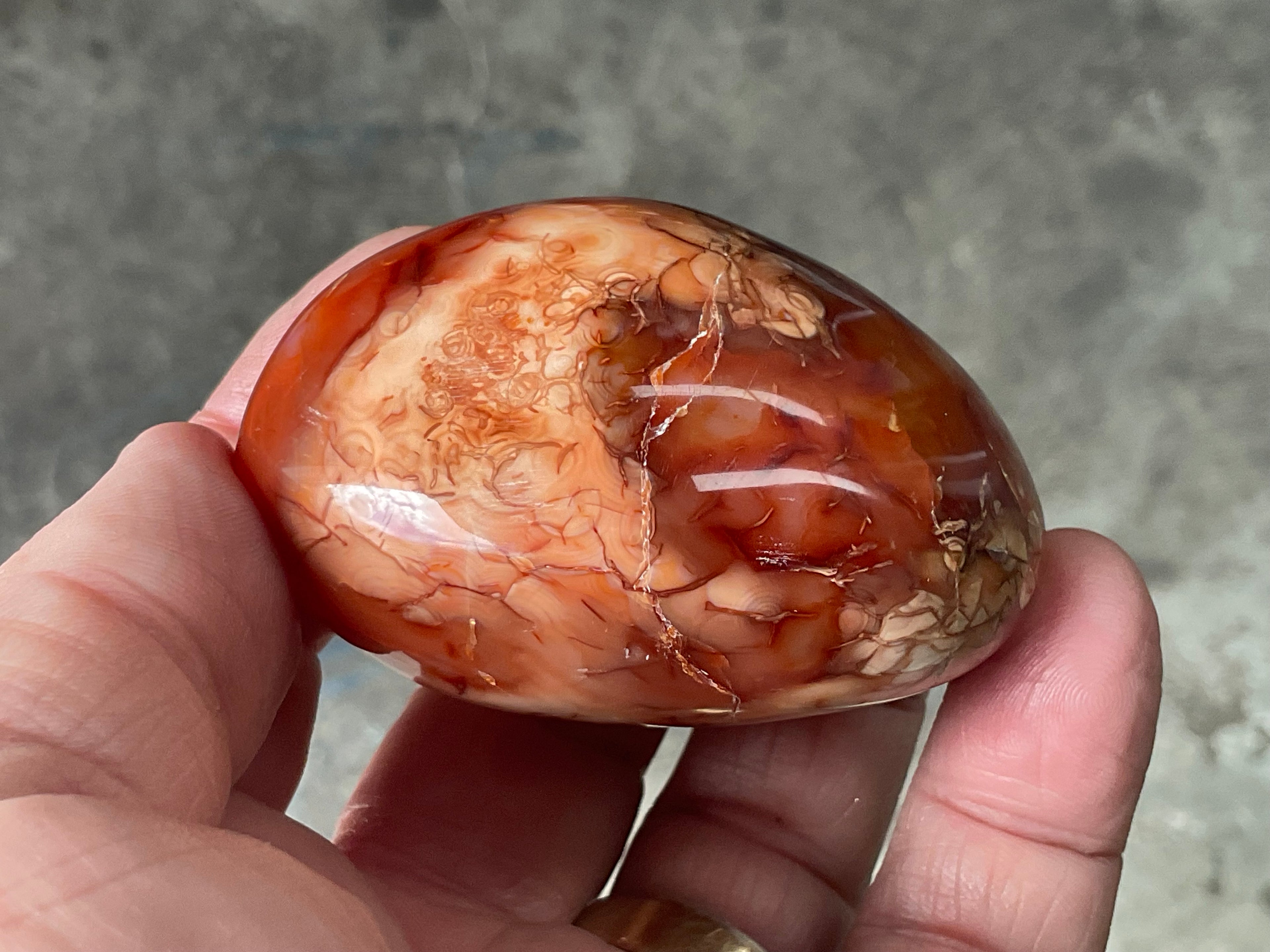 154g Carnelian Orca Agate Palmstone 6A