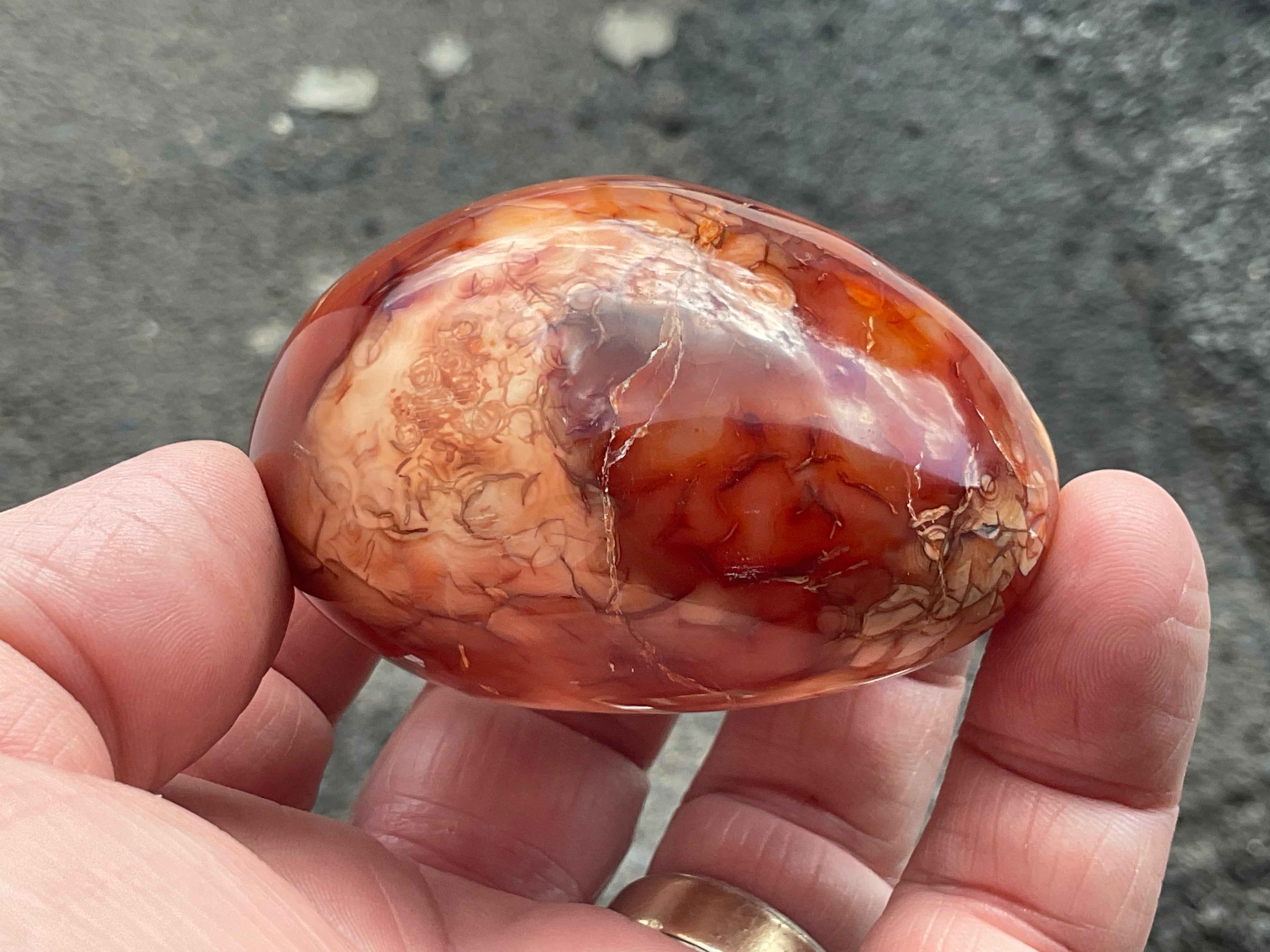154g Carnelian Orca Agate Palmstone 6A