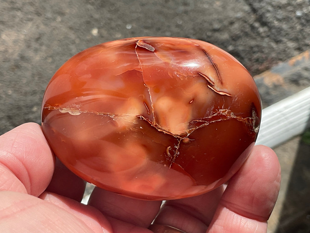 186g Carnelian Orca Agate Palmstone 7C