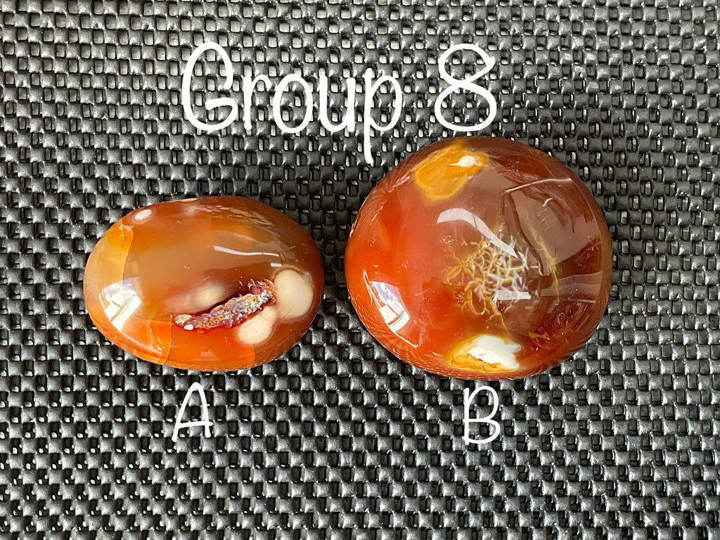 344g Carnelian Orca Freeform 8B