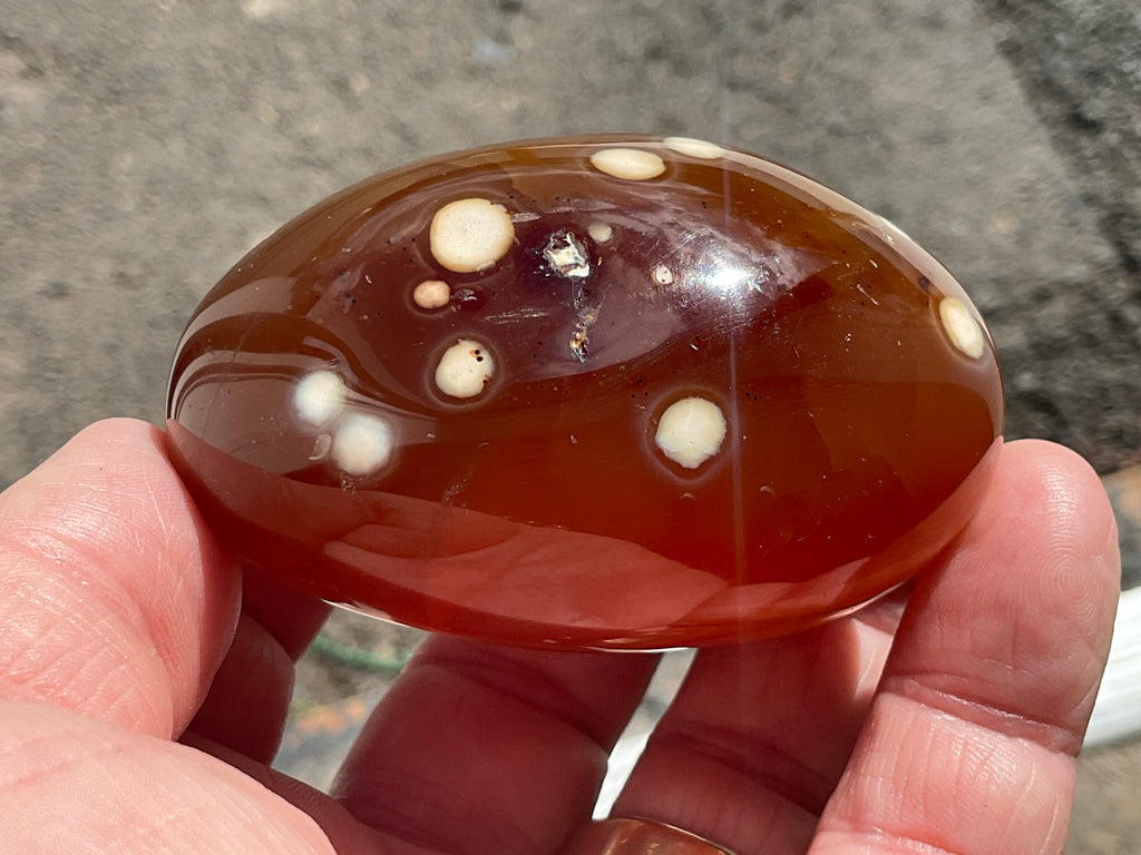 194g Carnelian Orca Palmstone 8A
