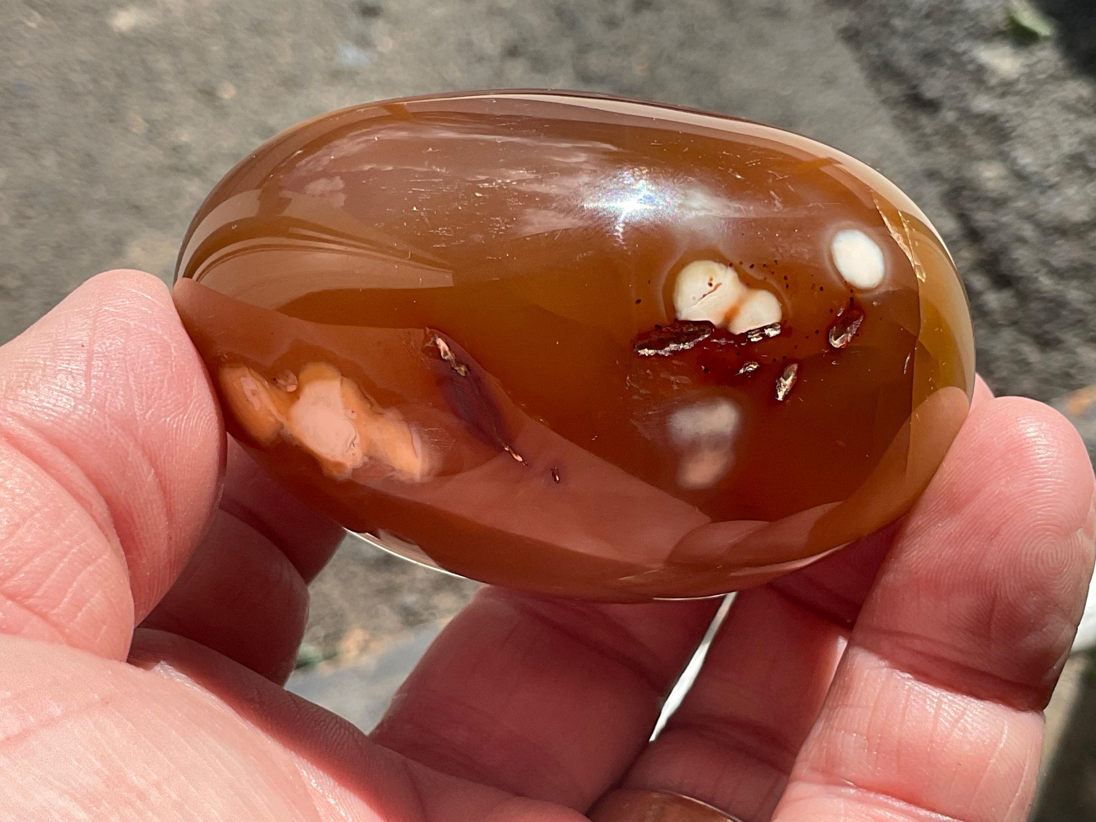 194g Carnelian Orca Palmstone 8A