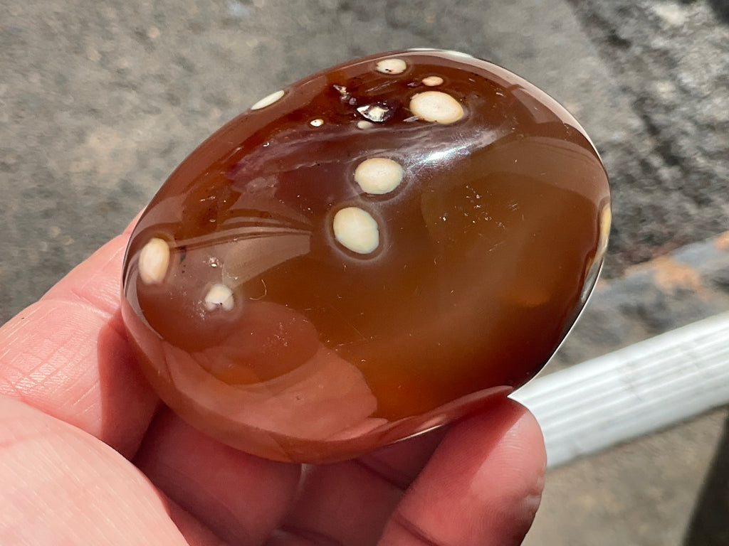 194g Canelian Orca Agate Palmstone 8A