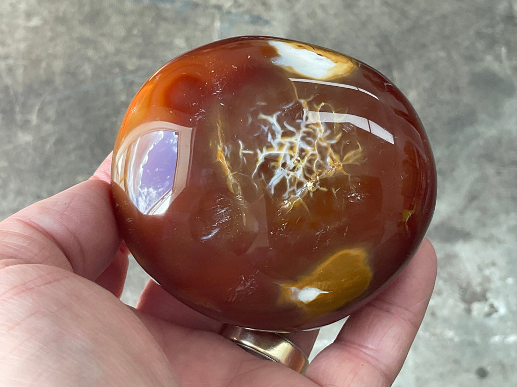 344g Carnelian Orca Agate Palmstone 8B