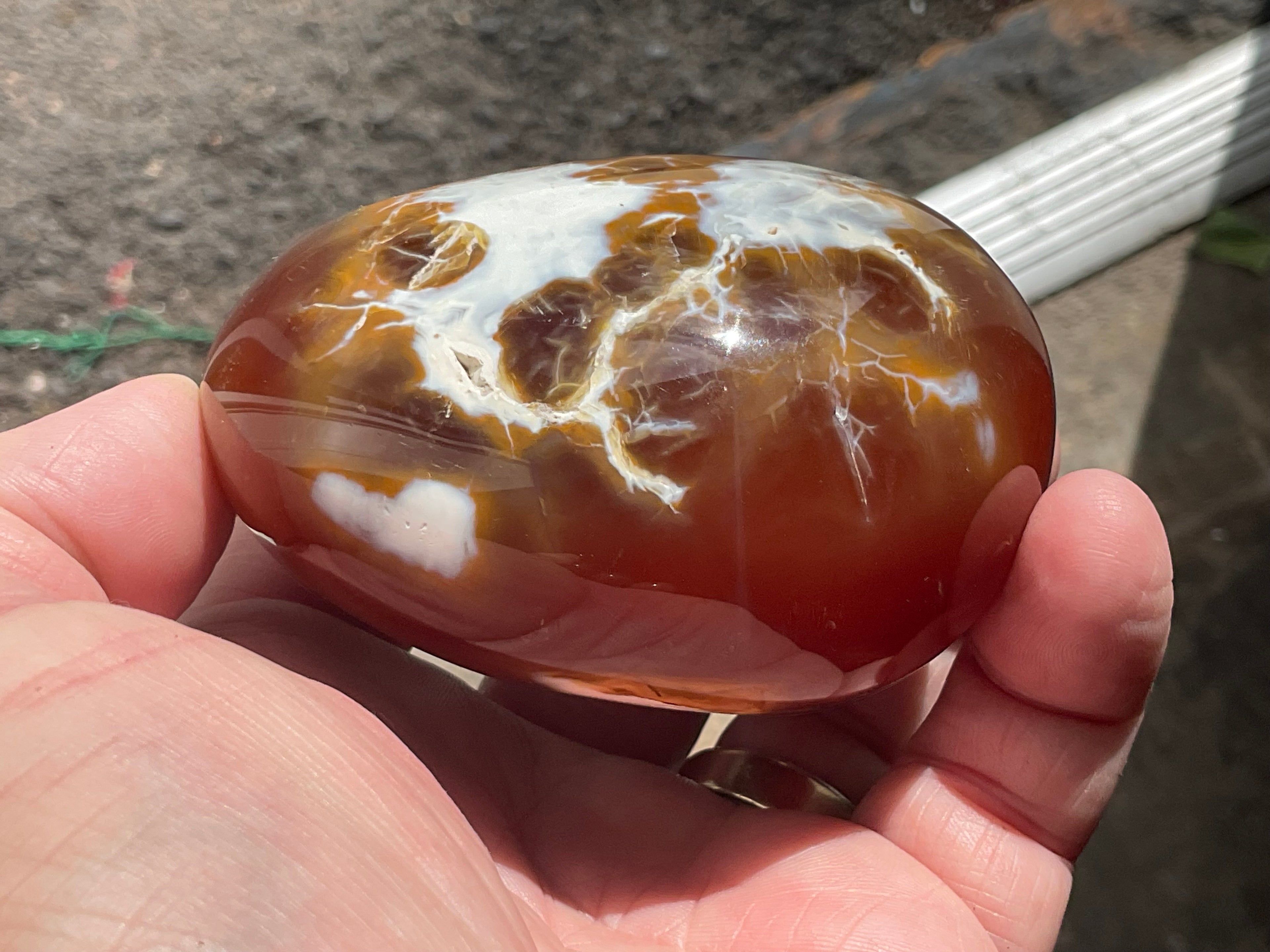 344g Carnelian Orca Agate Palmstone 8B