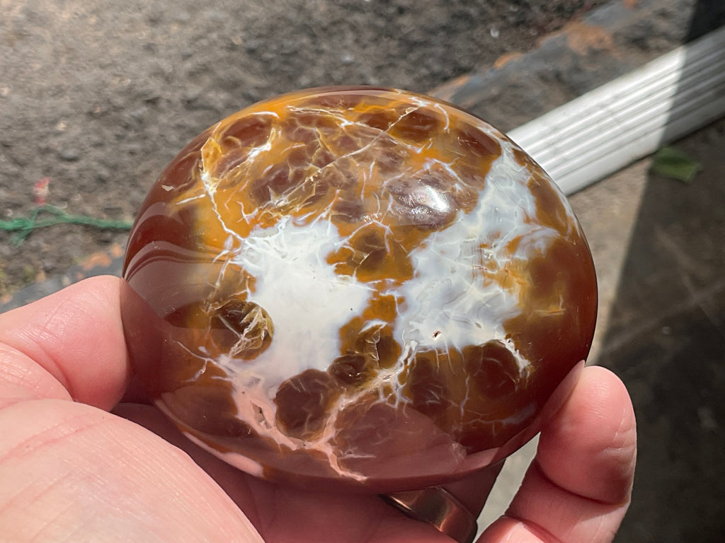 344g Carnelian Orca Freeform 8B