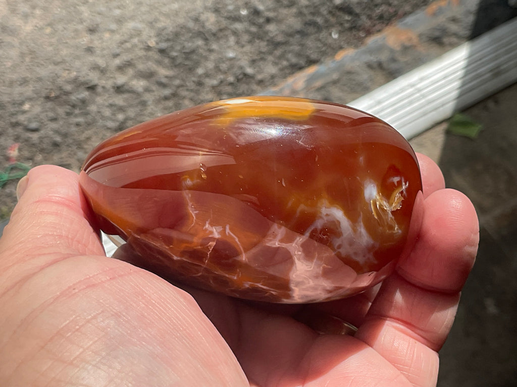 344g Carnelian Orca Freeform 8B