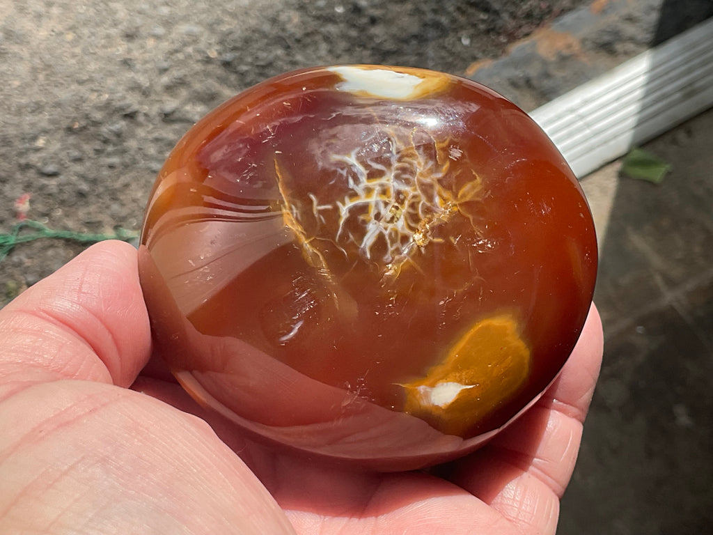 344g Carnelian Orca Freeform 8B