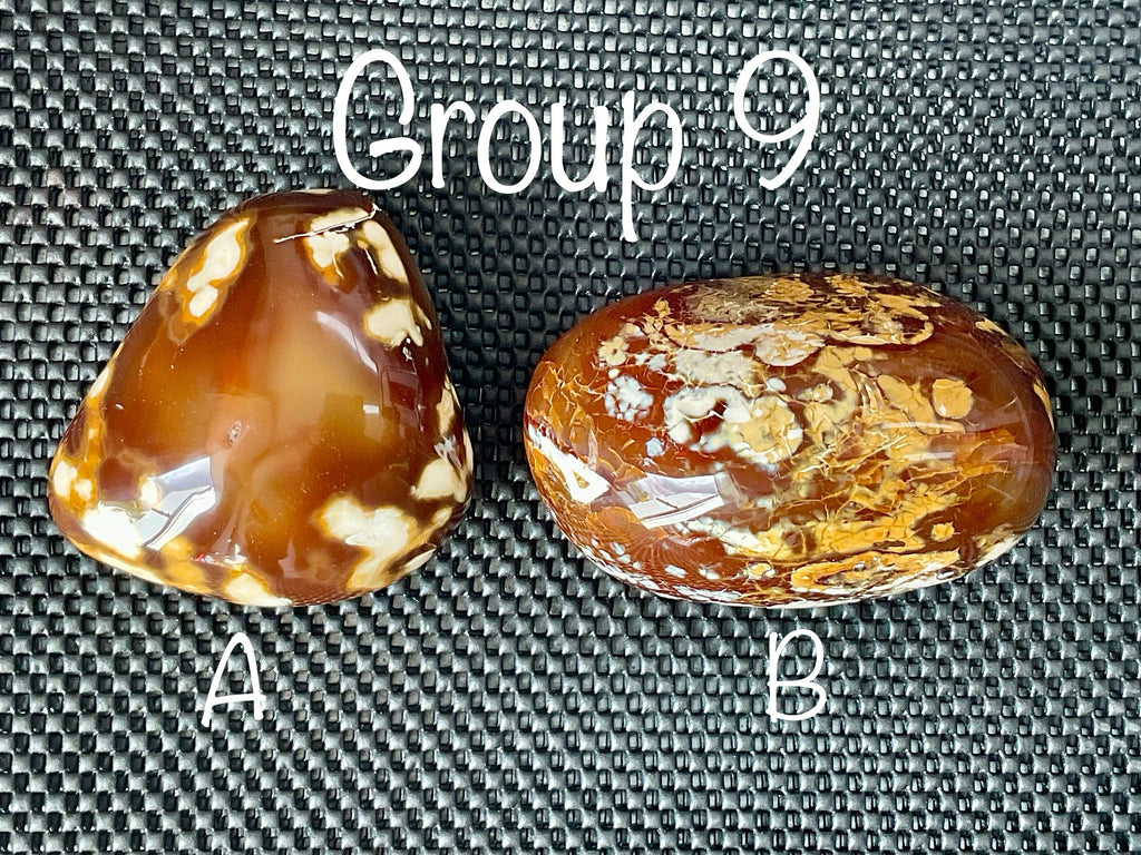 646g Carnelian Orca Agate Freeform 9A