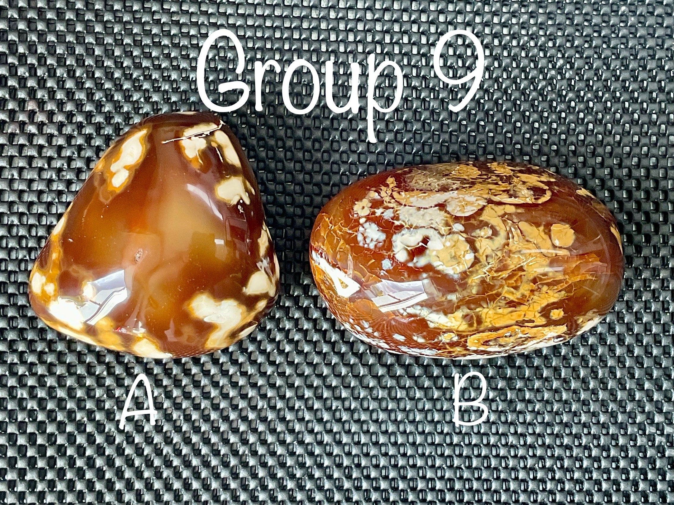 646g Carnelian Orca Agate Freeform 9A