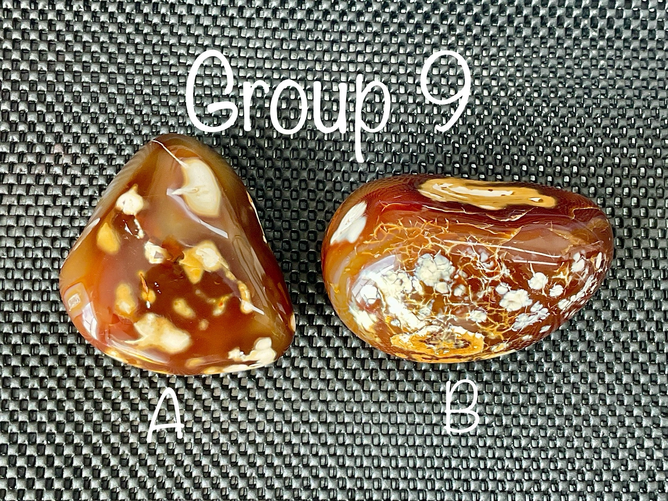 646g Carnelian Orca Agate Freeform 9A