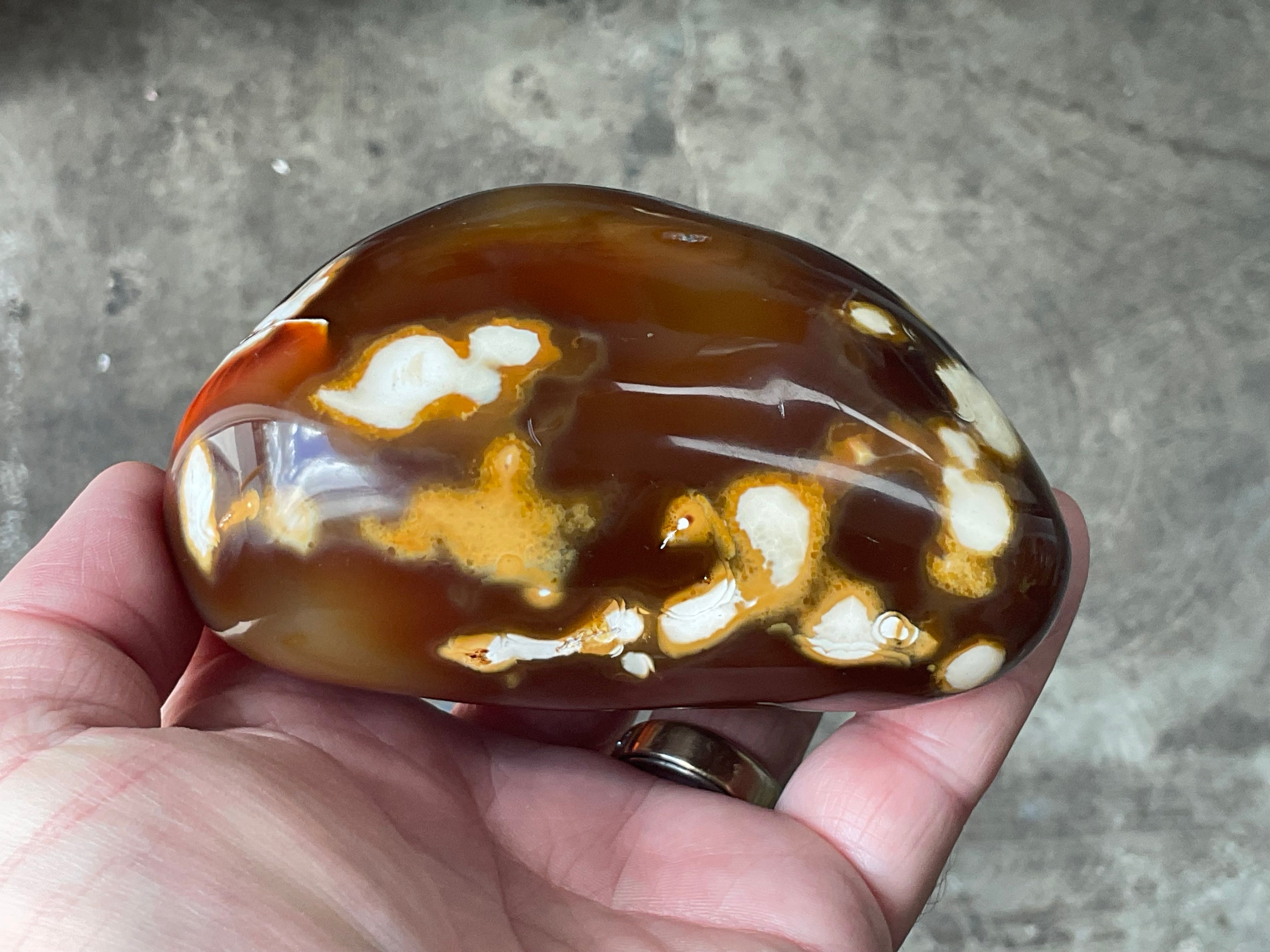 646g Carnelian Orca Agate Freeform 9A