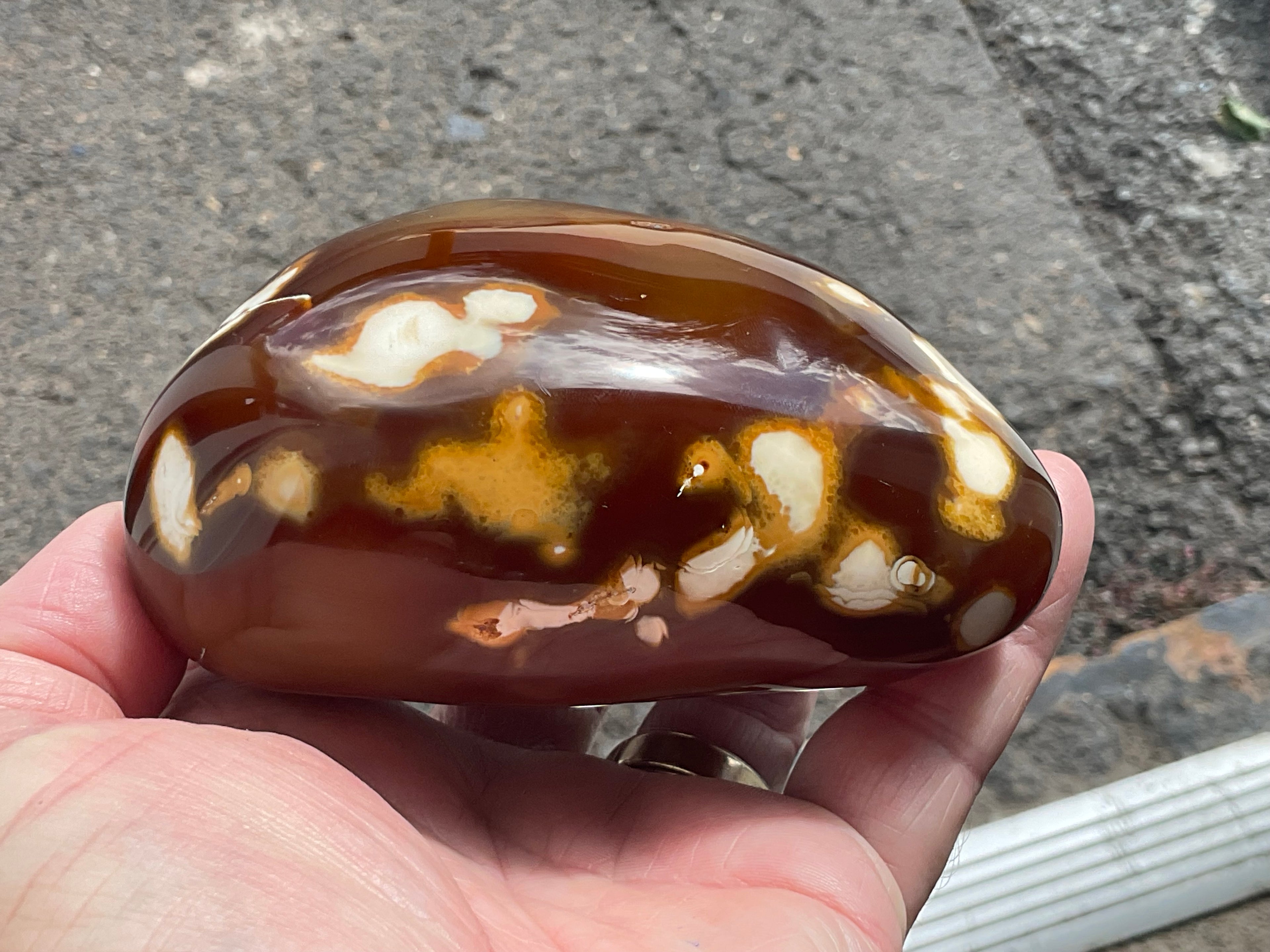 646g Carnelian Orca Agate Freeform 9A