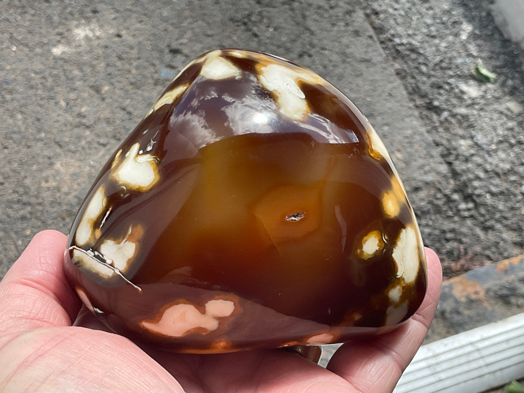 646g Carnelian Orca Agate Freeform 9A