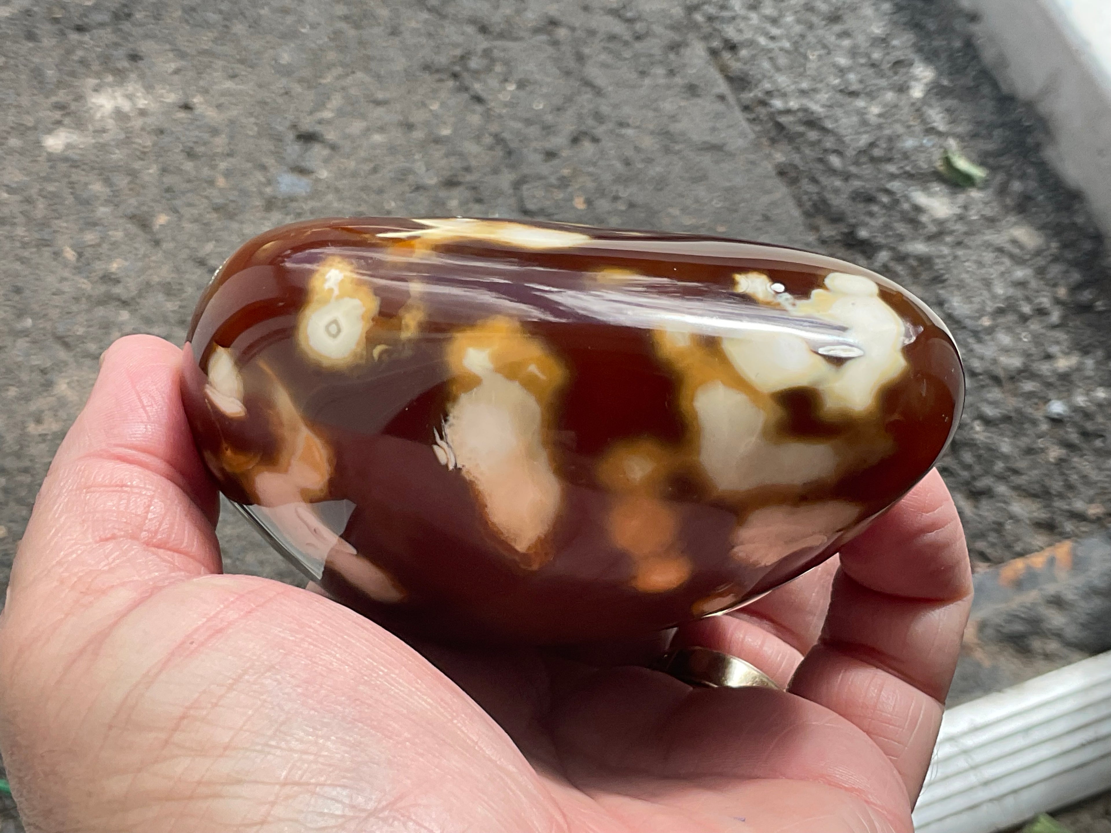646g Carnelian Orca Agate Freeform 9A