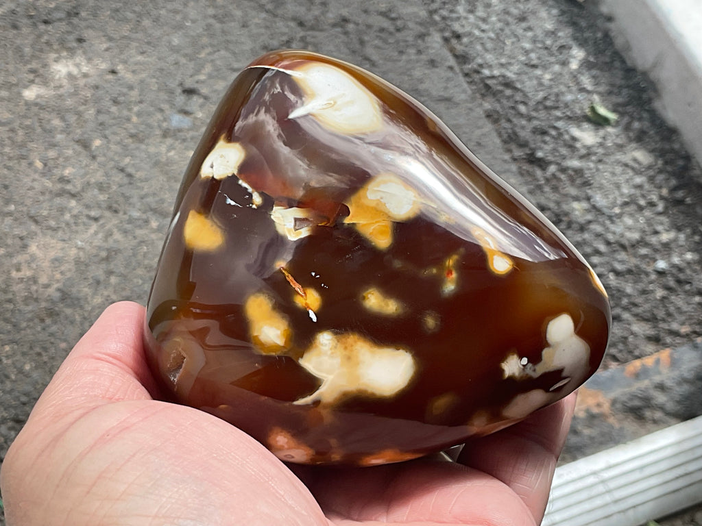 646g Carnelian Orca Agate Freeform 9A